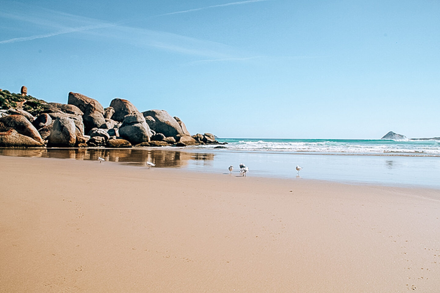 garie beach australien - Sydney til Melbourne