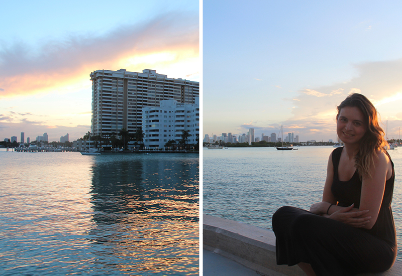 gravid miami