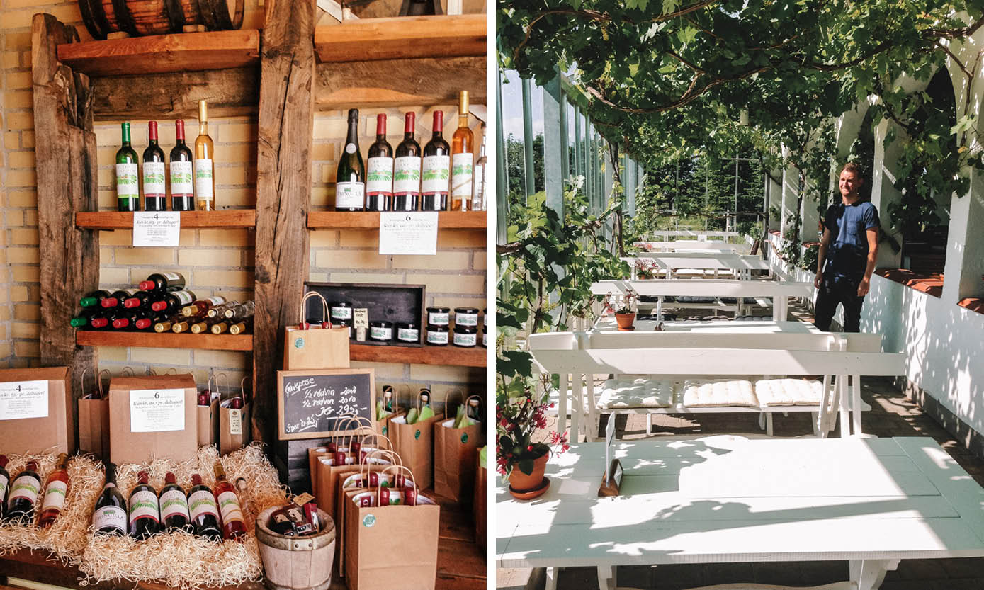 Nordjylland Glenholm Vingård